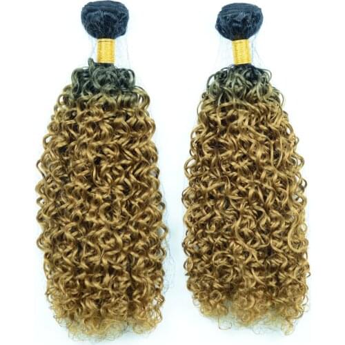 Adorable Heat Resistant Fiber Jerry Curl Synthetic Hair Weaves,Hair Bundles Ombre Two Tone Gold Color T1b27 Kinky Curl 100g
