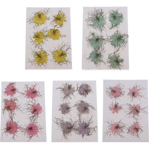 1 Set Natural Real Pressed Dried Flowers DIY Scrapbooking Card