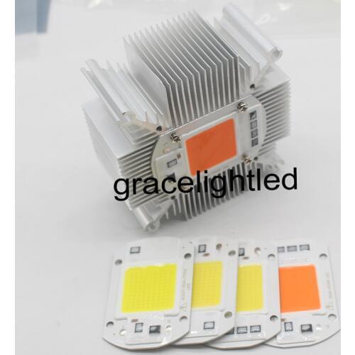 50W full spectrum 380-840nm white warm white LED Floodlight COB Chip 110V 220V Input Integrated Smart IC Driver+heatsink