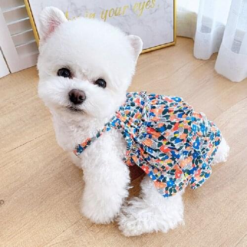 Cat Dress Summer Dog Tutu Skirt Cat Puppy Doggie Costumes Yorkshire Terrier Pomeranian Clothes Poodle Bichon Schnauzer Clothing