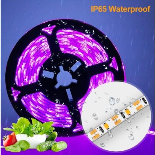 Full Spectrum Led Grow Light Strip USB Phytolamp For Plants With SMD2835 Chip For Indoor Hydroponics Plant Seeds Grow Tent Tape