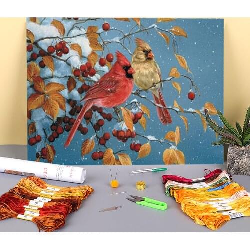 Bird Animal Printed 11CT Cross-Stitch Full Kit DIY Embroidery DMC Threads Handicraft Sewing Knitting Needlework Different