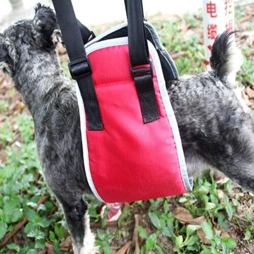 Anytime Dog Carrying Bags