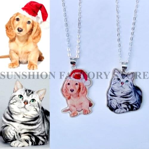 Custom Pet Photo Necklace Personalized Pet Neck Custom Color Jewelry Pendant Engraved Name 925 Sterling Silver Dog Tag Portraits