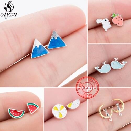 100% 925 Sterling Silver Earrings for Women Everyday Jewelry Lovely Mountain Rabbit Whale Watermelon Ear Studs Prevent Allergy