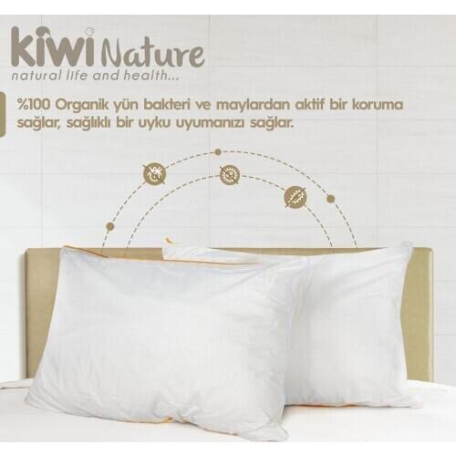 Kiwi Decorative Pillows