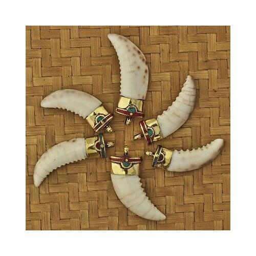 6PCS Natural Seashell Fang Pendants Metal Brass Capped Shell Big Amulets for Man TBP556