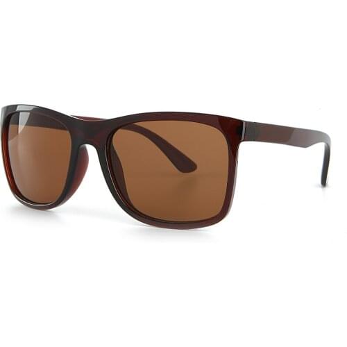 2020 top Brand Luxury Fashion Men 'S Brown Glasses UV400 APSN000502 Aqua di Polo 1987 Sunglasses