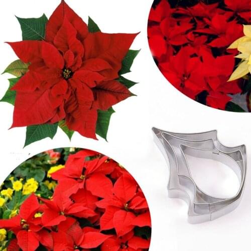 Poinsettia 3Pcs Stainless Stell Cookie Cutter Pastry & Biscuit Baking Cutter Cake Decorating Tools Cupcake Mold Fondant Tools