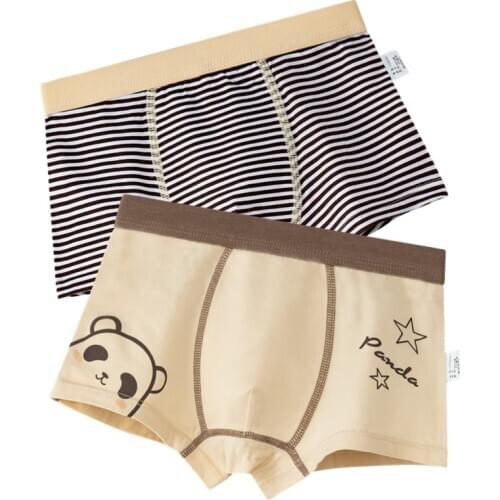 2pcs Striped Underwear Boys Boxer Kids Brown Cotton Panties Soft Kid Clothes 5 6 7 8 9 10 11 12 13 14 Years Old OBU203045