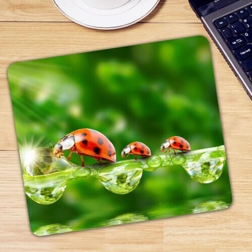 Ladybird Ladybug Anti-slip Natural Rubber PC Computer Gamer Mousepad Gaming Rectangle Mouse Pad Desk Keyboard Mause Mice Mat