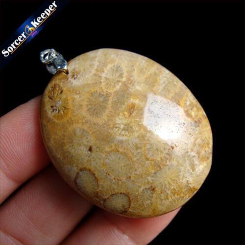 New Hot Selling Natural Stone Crinoid Fossil Necklace Jewelry Chrysanthemum Stone Healing Reiki Pendant For Men Women HS369