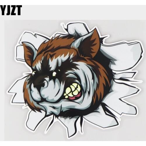 YJZT 19×15.9CM Creative Cartoon Hole Raccoon Body Bumper Decoration Car Sticker Accessories 21A-0144