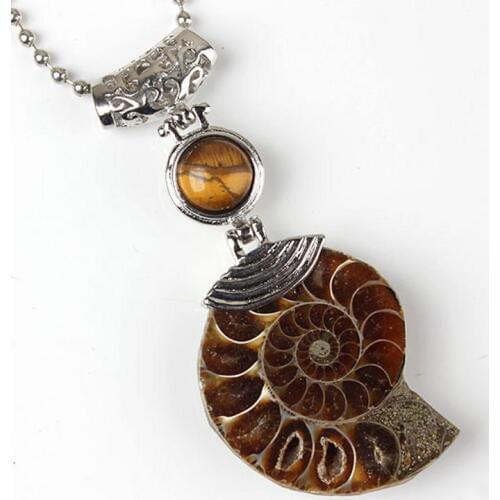 13 Style Natural Stone Ammonite Fossils Seashell Snail Pendants Ocean Reliquiae Conch Animal Necklaces Statement Men Jewellery