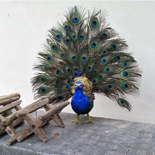 New real life peacock model foam& feather colourful peacock bird gift about 65x60cm d0030