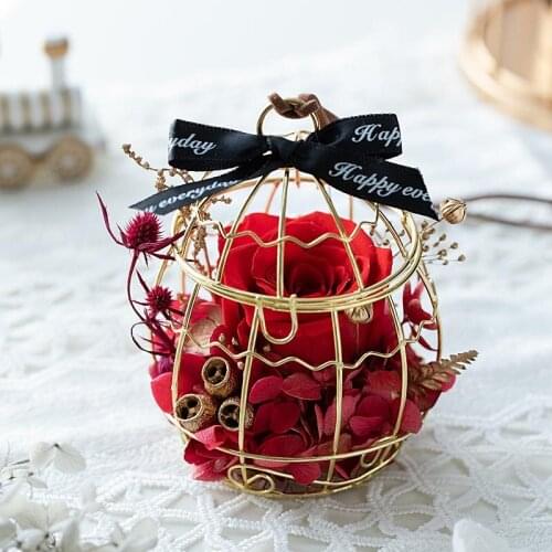 Creative Preserved Flower Present Forever Roses Bird Cage Car Hanging Austin Flowers Mothers Day Valentine Day Gift Christmas
