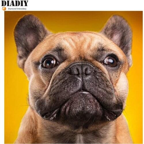 Diy diamond painting scenery diamond embroidery animal dog 3d round & square diamond mosaic icons full painting rhinestone