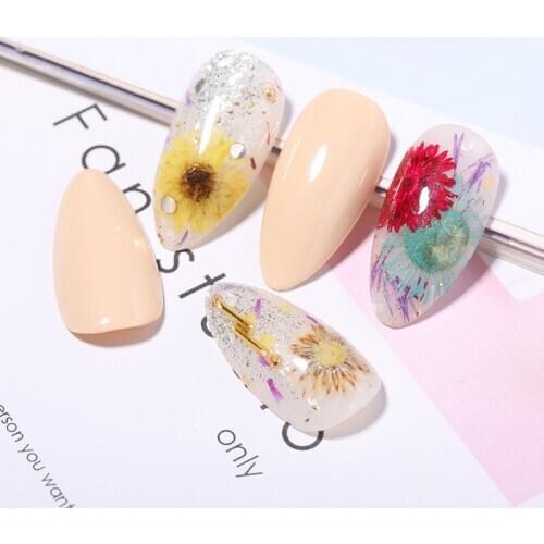 Dried Flowers Mixed Colors Flower Nail Decorations Natural Floral Sticker 3D DIY Nail Art Decals Jewelry UV Gel Polish Manicure