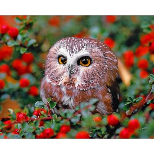 Wenhuaren Large Paintings By Numbers