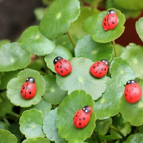 APRICOT 10pcs/lot Cute Mini Ladybugs Garden Miniatures Artificial Micro Landscape Wodden Handmade