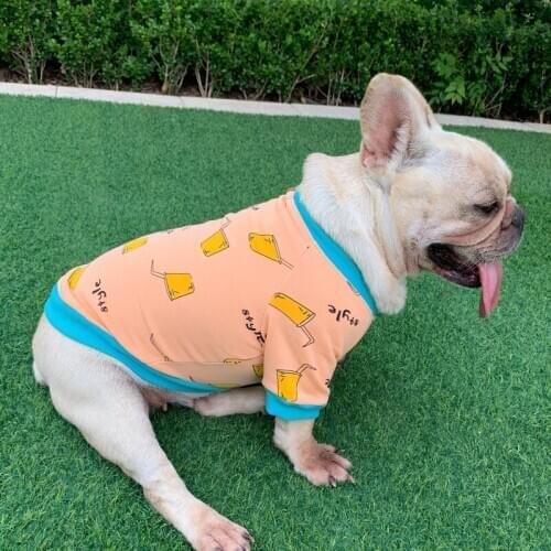 French Bulldog Clothing Winter Pug Clothes British short cat Pomeranian Poodle Schnauzer Welsh Corgi Shiba Inu Costume Hoodie