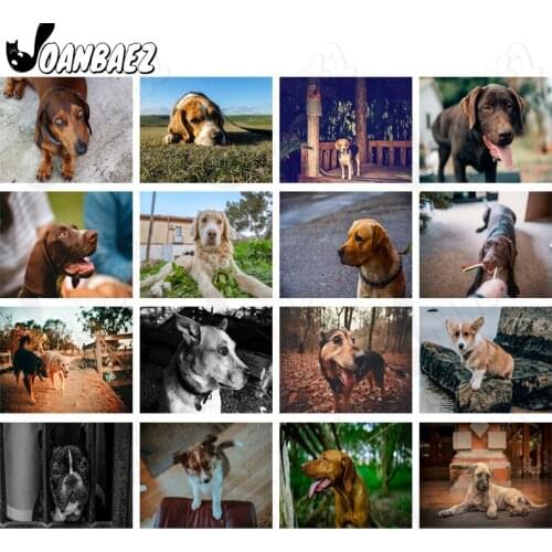 Cute Pet Dog Diamond Painting 5D Diy Wall Art Animal Round Diamond Inlaid Home Room Decoration Accessories Gift