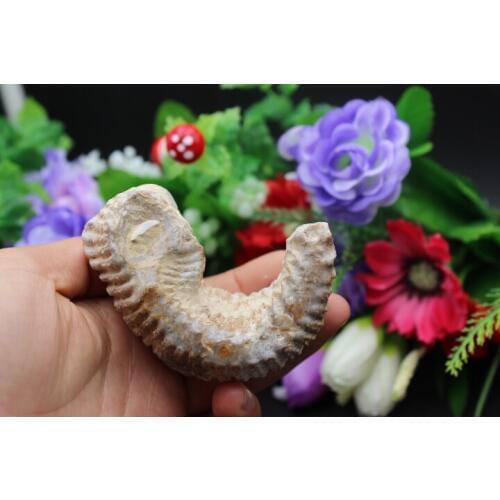 128grams of natural quartz crystal mineral samples furnishing articles to heal A2