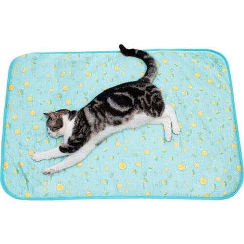 Summer Cooling Dog Mats Blanket Ice Pet Bed Cushion For Small and Large Cat Puppy Sofa Portable Tour Camping Yoga Sleeping Pads