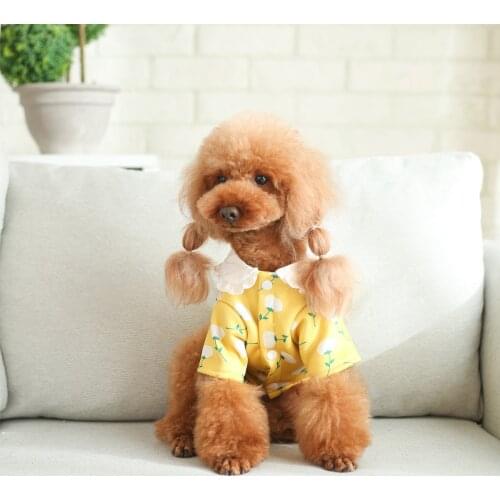 Cute Small Dog Clothes Sweet Cat Puppy Padded Warm Coat For Dogs Cats Chihuahua Teddy Bichon Pomeranian York Pet Puppy Clothing