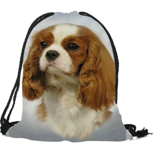 Teenager Popular Backpack Large Capacity Eco Shoulder Bags Charles Spaniel Print Travel Gym Casual Men Women Drawstring Bag