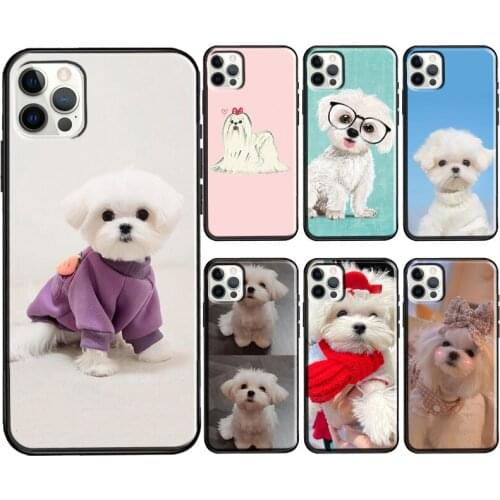 Maltese Dog Puppy Cute Soft Case For iPhone 11 12 Pro Max 12 Mini 6S 7 8 Plus SE 2020 XS Max X XR Phone Coque