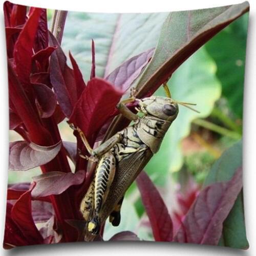 Lovely Cricket pattern for Home car Decor Cushion Cover Square 5 size 9 style Sofa Decorative Cotton/Polyester Pillow Covers