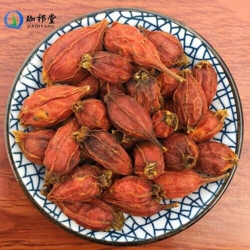 Fructus Gardeniae Cape Jasmine Fruit Gardenia Jasminnoides Ellis. ZhiZi