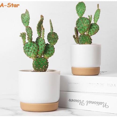 Succulent Plant Pot Double-layer Succulent Green Dill Small Green PlantFlowerpot New