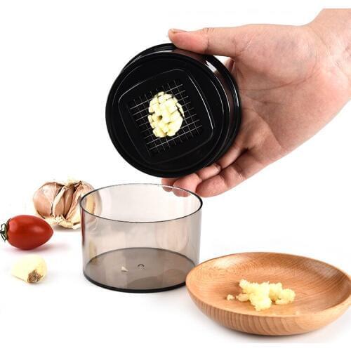 Multi-function Kitchen Gadgets Garlic Stainless Steel Garlic Press Grid Garlic Clove Kitchen Accessories 2pcs/lot
