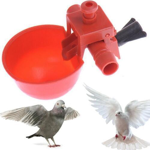 3pcs Chicken Drinker Drinking Cups For Chickens Red Quail Chicken Waterer Bowl Automatic Poultry Coop Feeder Water Drinking Cup