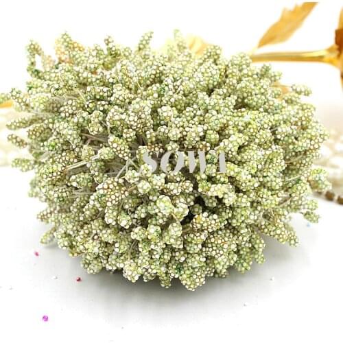 Free Shipping Hot Sales Light Olivine 5mm 800pcs Foam Flower Stamen Artificial Flower Stamen Pistil Cake Decoration Craft DIY