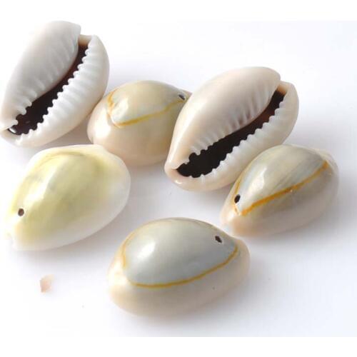 Natural Shell Muszla Loose Beads with one Hole for Crafts Making Party Home Decoration10-23mm 50pcs TRS0080
