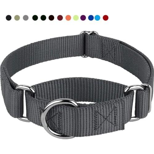 High quality Heavyduty Nylon Martingale Dog Collar Premium Safety Training Dog Martingale Collar For Dogs Adjustable Pet Collar