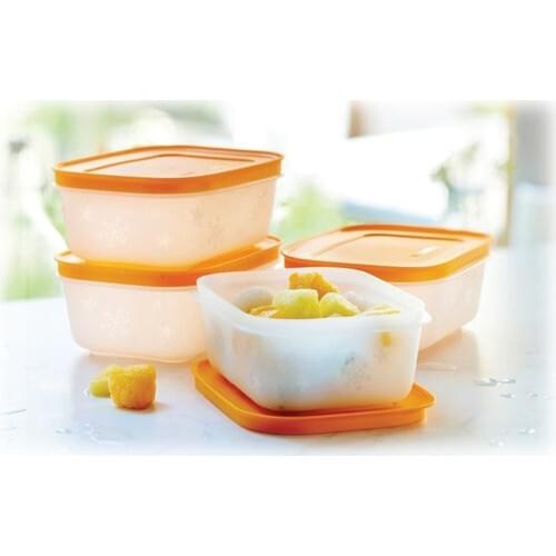 Tupperware Alaska 4-Piece Storage Box