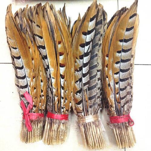 50PCS/LOT!14-16" 35-40cm Pheasant Feathers, Natural Reeves Venery Pheasant Tail Feathers FREESHIPPING
