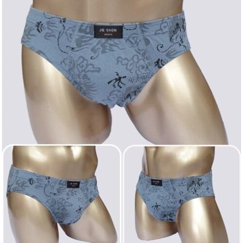 New 5pcs/Lot Mens Cotton Underwear Briefs Comfortable Brief Panties For Men Sexy Underpants Drop shipping plus size