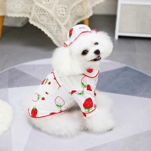 Autumn and winter warm pet clothing Teddy small dog pet clothing hat strawberry pajamas