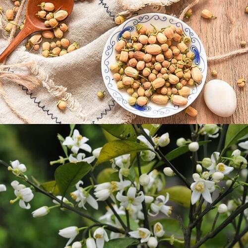 20g Natural Orange flower Bud Dried Flowers Aromatherapy Aromatic Air Refresh DIY home Decoration Flowers