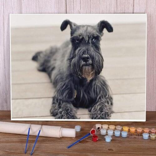 Animal Dog Schnauzer DIY Painting By Numbers Kit Oil Paints 40*50 Boards By Numbers Home Decoration For Children Handiwork