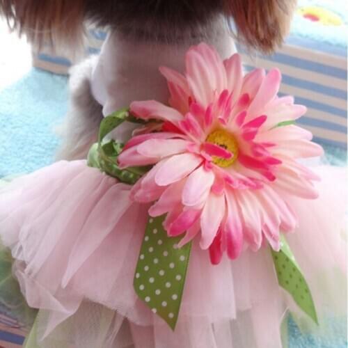 Pet supplies, dog clothes, dog skirts, spring, summer, autumn and winter clothing