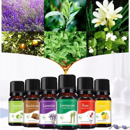 10ML Essential Oil Gift Box Tea Tree Peppermint Lavender Lemongrass Eucalyptus Vanilla Cinnamon Sandalwood Oil 12 Flavors