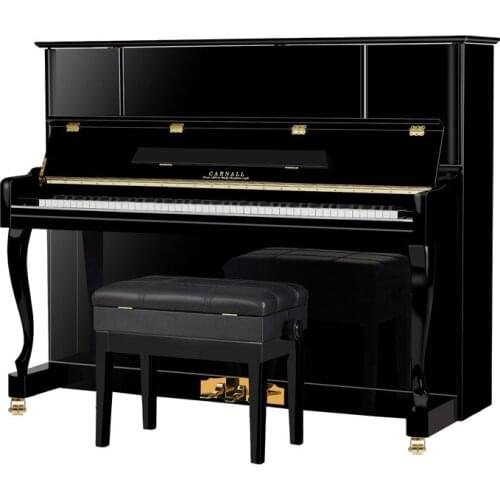 Brand New Black Bright Professional 88-key Performance Upright Piano