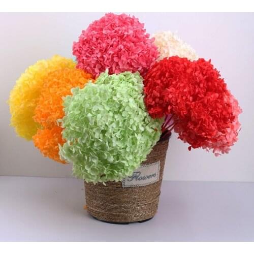 About 20cm Flower Head Hydrangea DIY Party Wedding Arch Background Wall Eternal Floral Preserved Material Home Decor Dekoration
