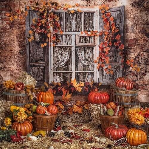 Autumn Fall Maples Pumpkin Sunflowers Backdrop Old Wooden Window Brick Wall Photo Background Child Portrait Photography Studio